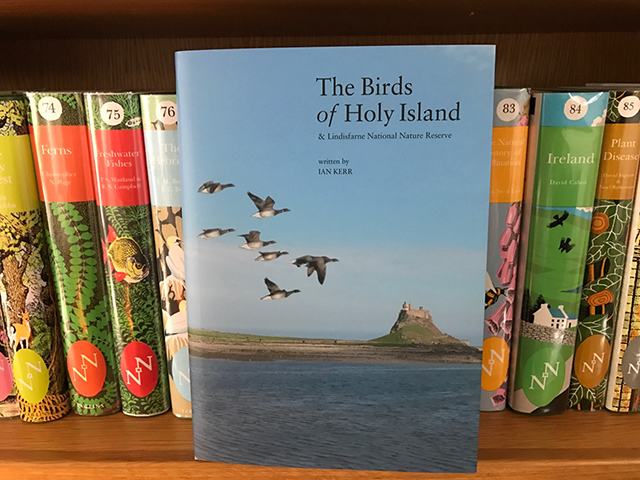 the-birds-of-holy-island-2016